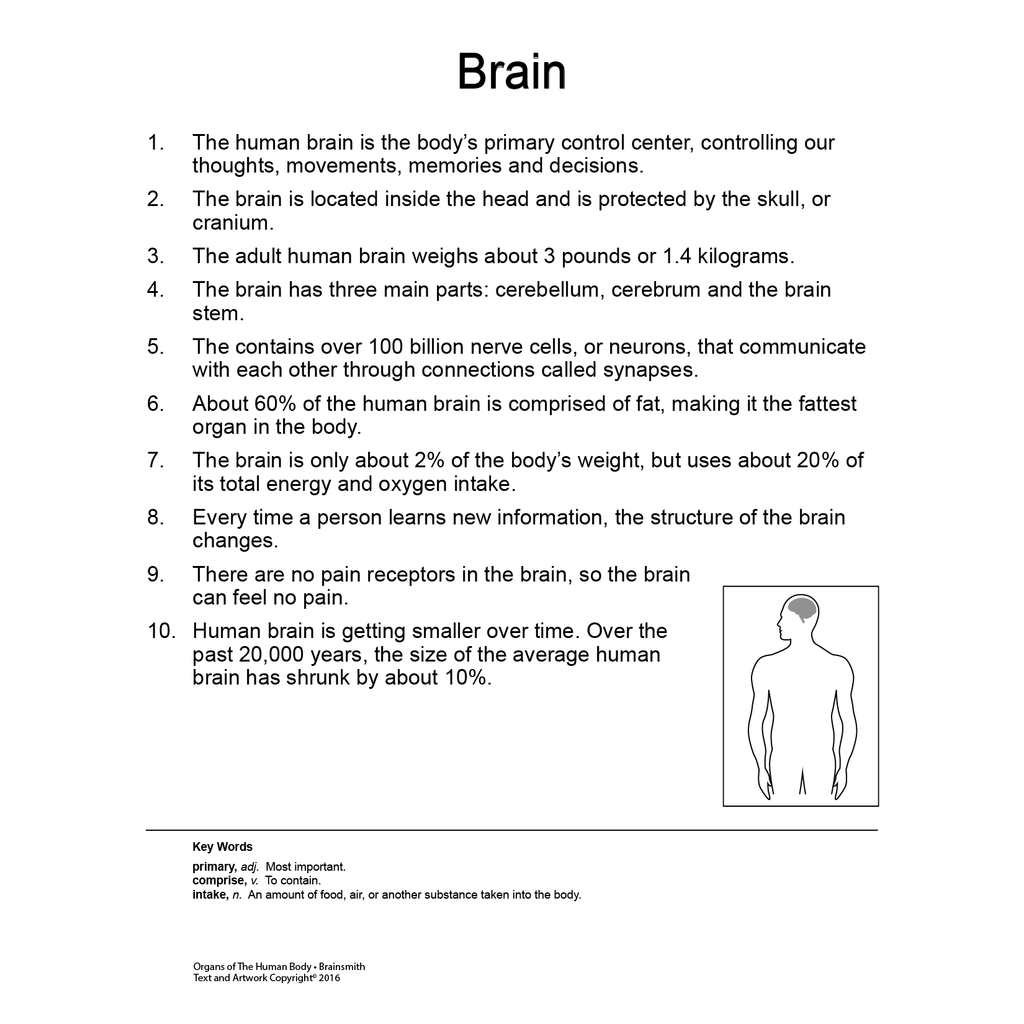 Quantum Cards <br> Organs of the Human Body