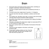 Quantum Cards <br> Organs of the Human Body
