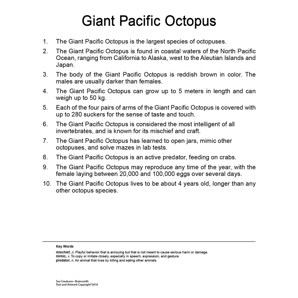 Quantum Cards <br> Sea Creatures