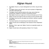 Quantum Cards <br> Dogs