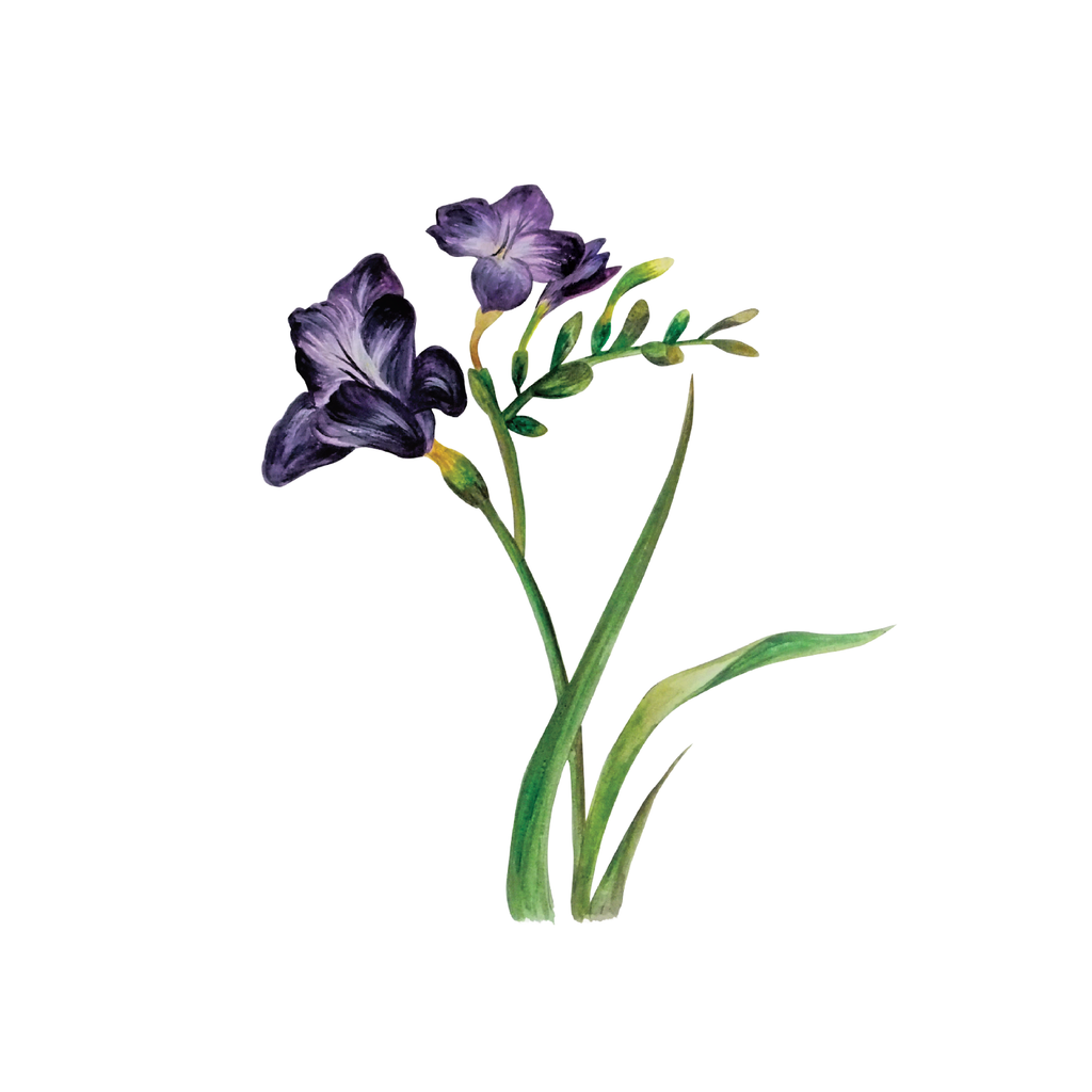 Quantum Cards <br> Flowers (Set 1)