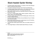 Quantum Cards <br> Primates