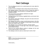Quantum Cards <br> Vegetables (Set 2)