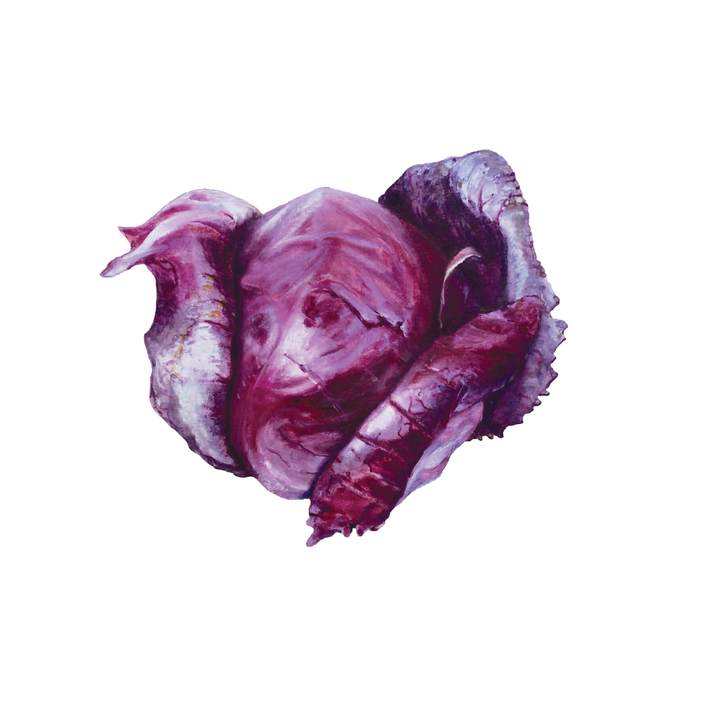 Quantum Cards <br> Vegetables (Set 2)