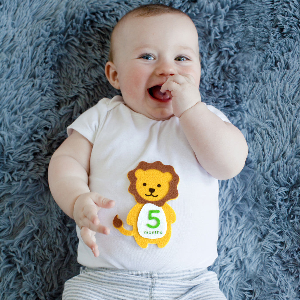 Felt First Year Belly Stickers