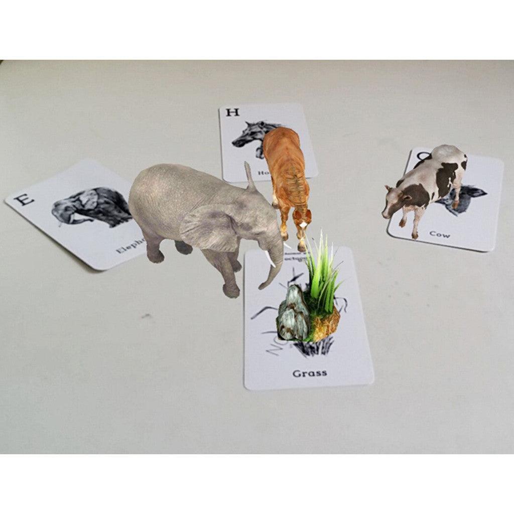 Food Cards <br> To be used with Animal 4D+ Cards