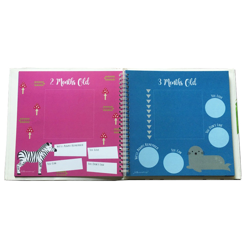 My Little Book of Adventures <br> Baby Record Book
