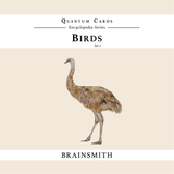 Quantum Cards <br> Birds (Set 1)