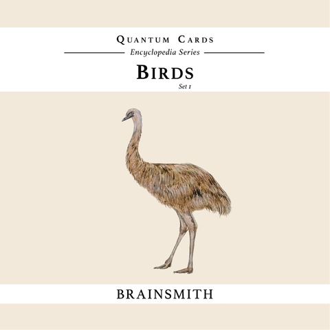 products/Birds-set-1_Front_Cover.png
