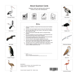 Quantum Cards <br> Birds (Set 1)