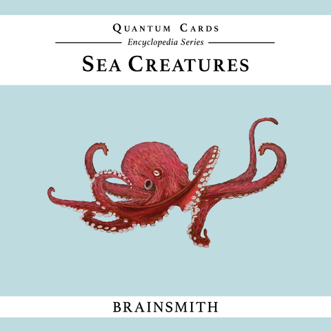 products/Brainsmith_logo_on_cover.png