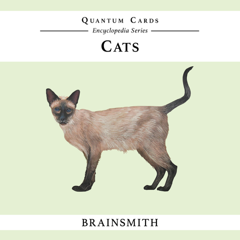 products/Cats_Front_Cover_Final.png