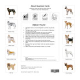 Quantum Cards <br> Dogs