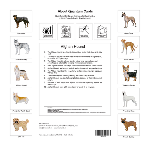 products/Dogs_Back_Cover-01.png