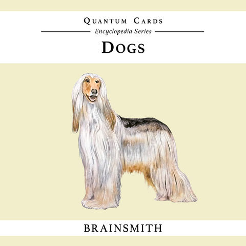 products/Dogs_Front_Cover_Final.png
