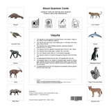 Quantum Cards <br> Endangered Species