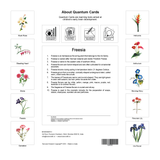 Quantum Cards <br> Flowers (Set 1)