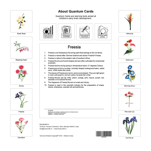 products/Flowers_Back_Cover-01.png