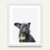 Little Puppy - Minimalist Framed Wall Art