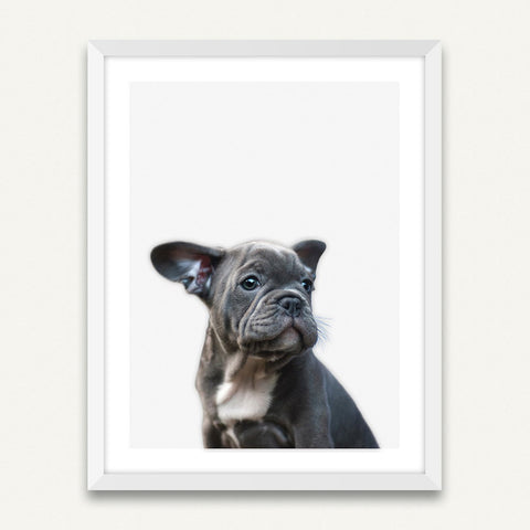 Little Puppy - Minimalist Framed Wall Art