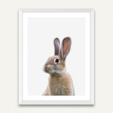 Little Rabbit - Minimalist Framed Wall Art