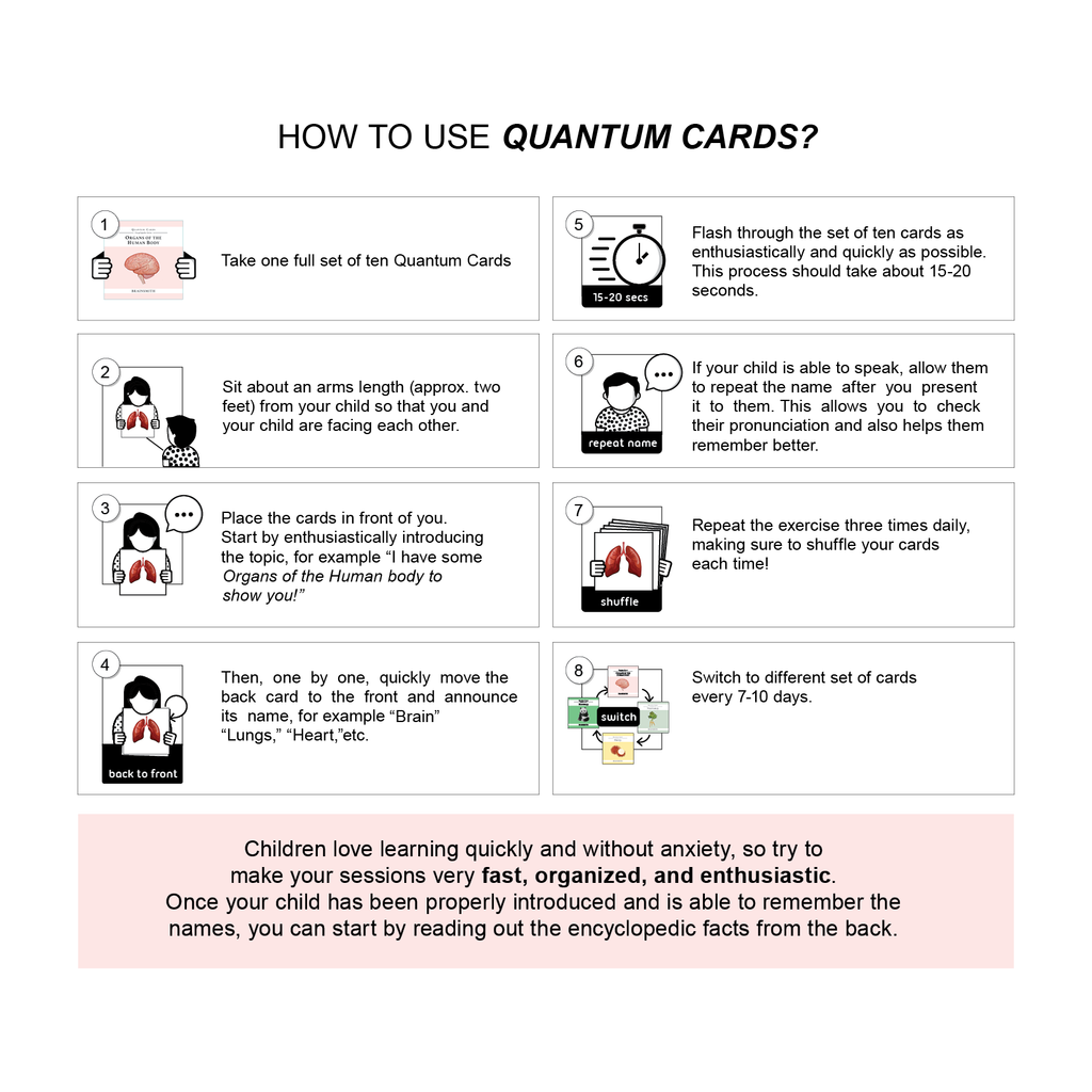 Quantum Cards <br> Organs of the Human Body