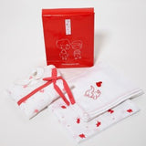 Playful Baby Girl Gift Set