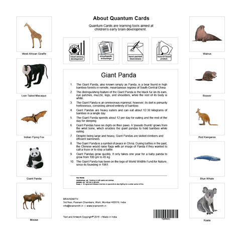 products/Mammals-Back-Cover.png