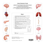 Quantum Cards <br> Organs of the Human Body