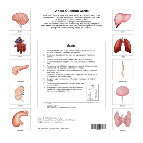 products/Organs_Back_Cover.jpg