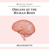 Quantum Cards <br> Organs of the Human Body