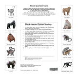 Quantum Cards <br> Primates