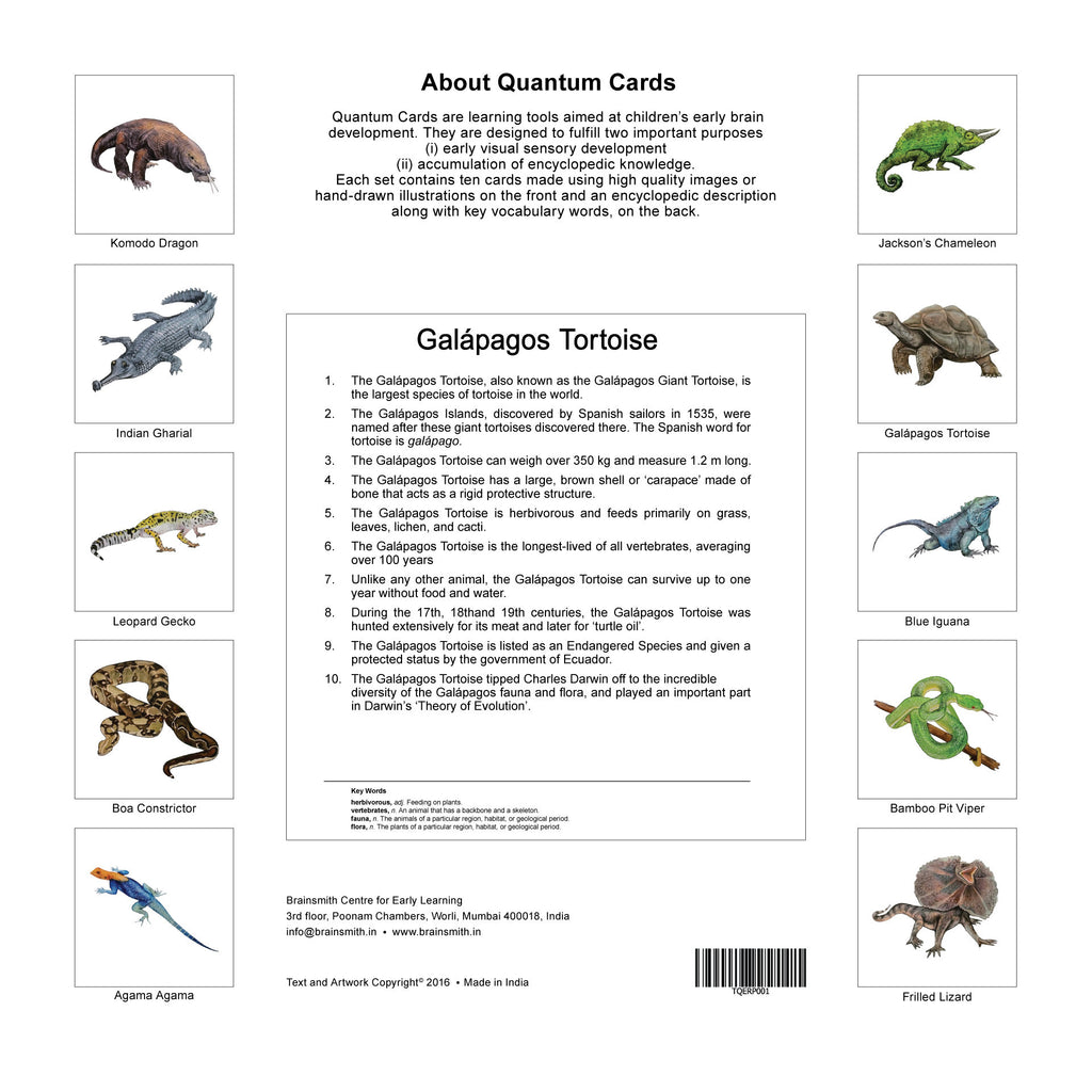 Quantum Cards <br> Reptiles