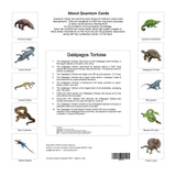 Quantum Cards <br> Reptiles