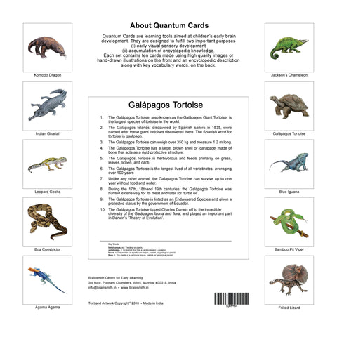 products/Reptiles_Back_Cover.jpg