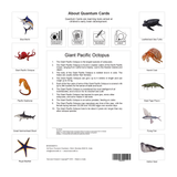 Quantum Cards <br> Sea Creatures