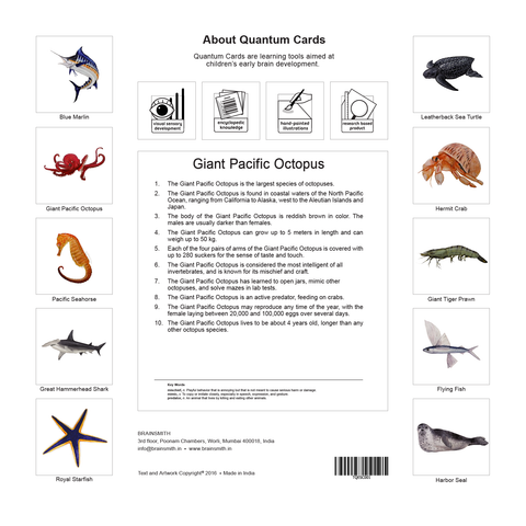 products/Sea_Creatures_Back_Cover-01.png