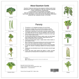Quantum Cards <br> Starter Kit, Set of 5
