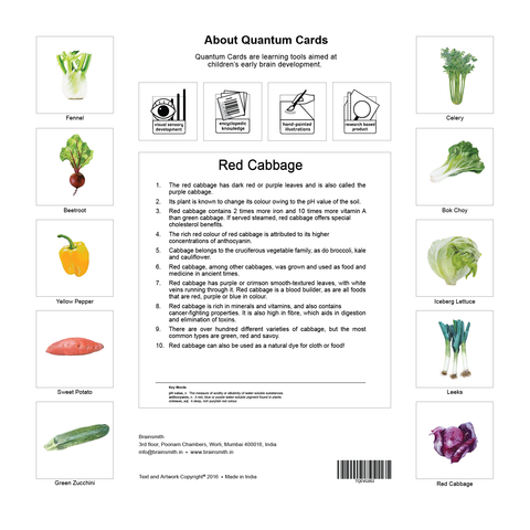 products/Vegetables_Set_2_Back_Cover-01.png