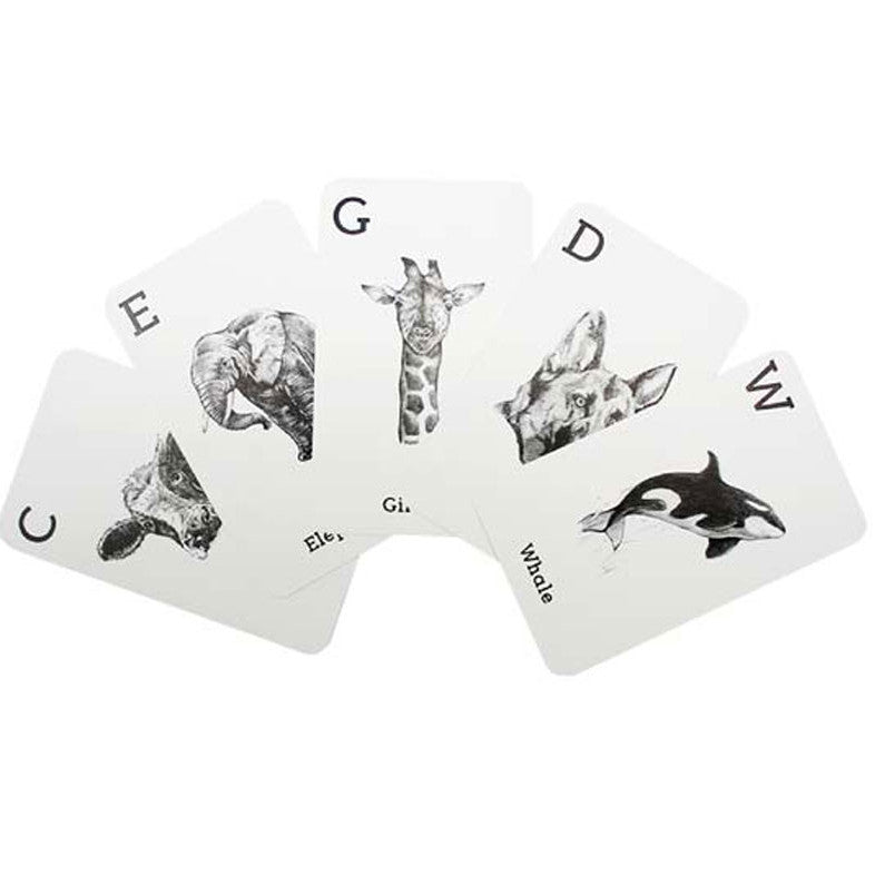 Animal 4D+ Flash Cards <br> Interactive Augmented Reality Cards