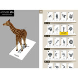 Animal 4D+ Flash Cards <br> Interactive Augmented Reality Cards