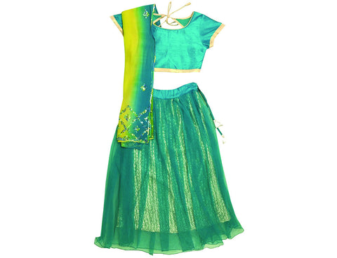 Krishna Mehta Embroidered Lehenga & Blouse, Comes with A Dupatta