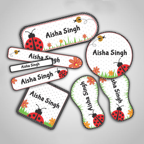 products/ladybug_1e6f0cda-6e66-499f-b706-a53202215241.jpg