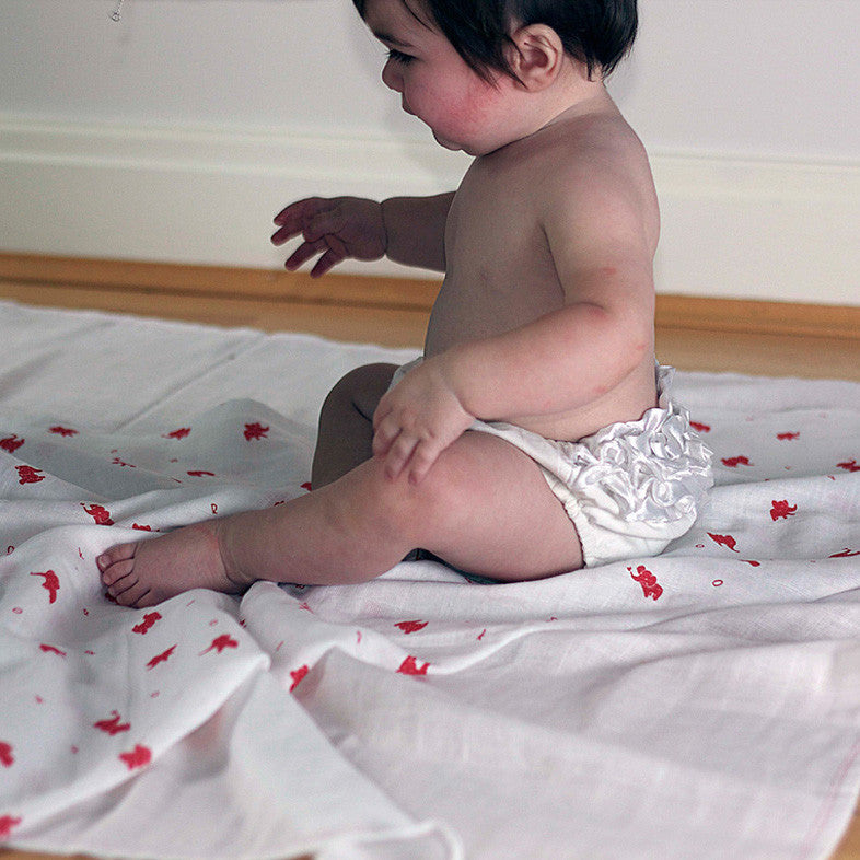 Snuggle Me Muslin Squares <br> Pack of 2