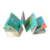 Slinky Flipbook: Frog<br> <span style="font-size: 11px; font-family:Helvetica,Arial,sans-serif;">Animation from Tadpole to Frog</span>