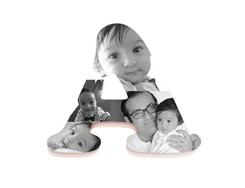 products/wpl_2.jpg
